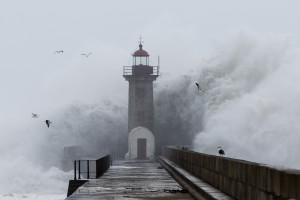 Foto Miguel Oliveira / Porto24